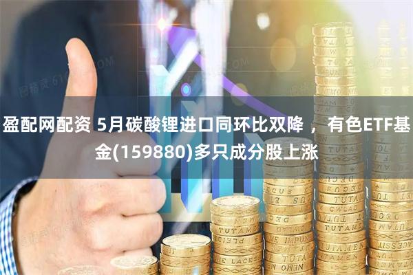 盈配网配资 5月碳酸锂进口同环比双降 ，有色ETF基金(159880)多只成分股上涨