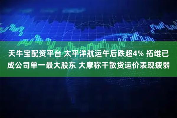天牛宝配资平台 太平洋航运午后跌超4% 拓维已成公司单一最大股东 大摩称干散货运价表现疲弱