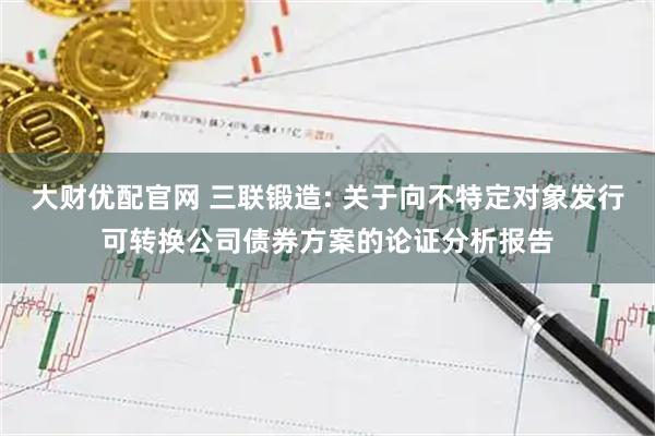 大财优配官网 三联锻造: 关于向不特定对象发行可转换公司债券方案的论证分析报告