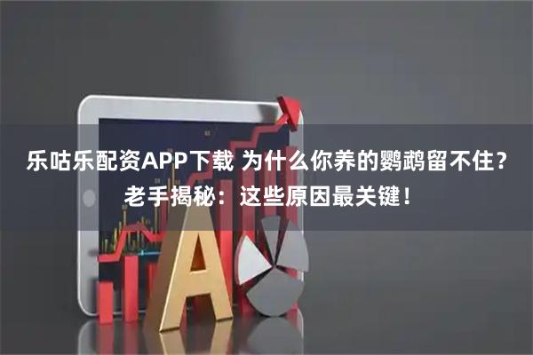 乐咕乐配资APP下载 为什么你养的鹦鹉留不住？老手揭秘：这些原因最关键！