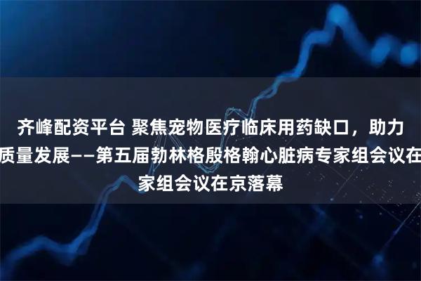 齐峰配资平台 聚焦宠物医疗临床用药缺口，助力行业高质量发展——第五届勃林格殷格翰心脏病专家组会议在京落幕