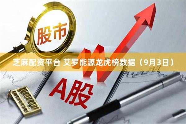 芝麻配资平台 艾罗能源龙虎榜数据（9月3日）